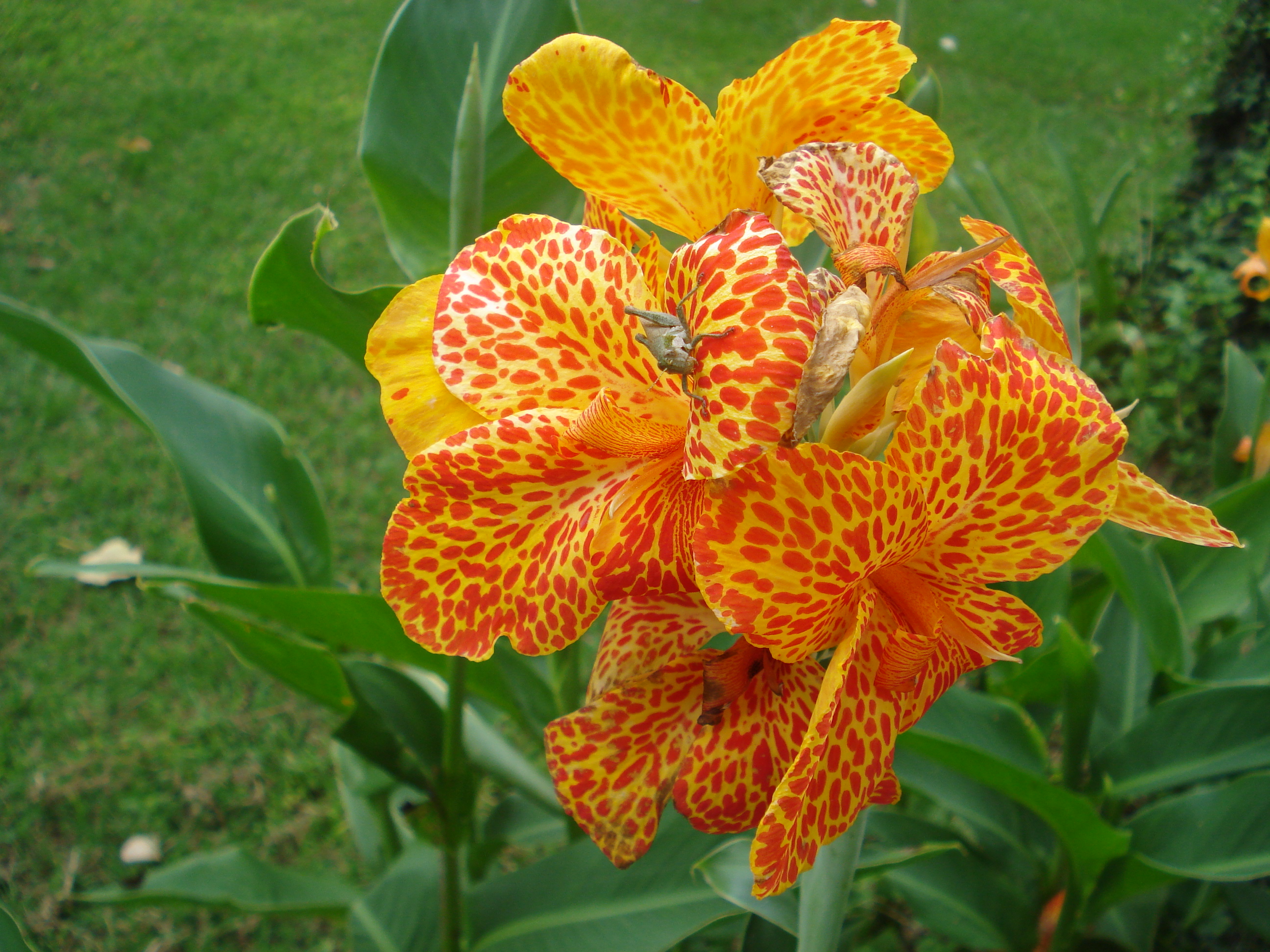 fotos/2011 - Los Reartes/DSC00368.JPG